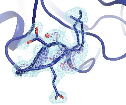 Key figure from Mapping the conformational landscape of a dynamic enzyme by multitemperature and XFEL crystallography