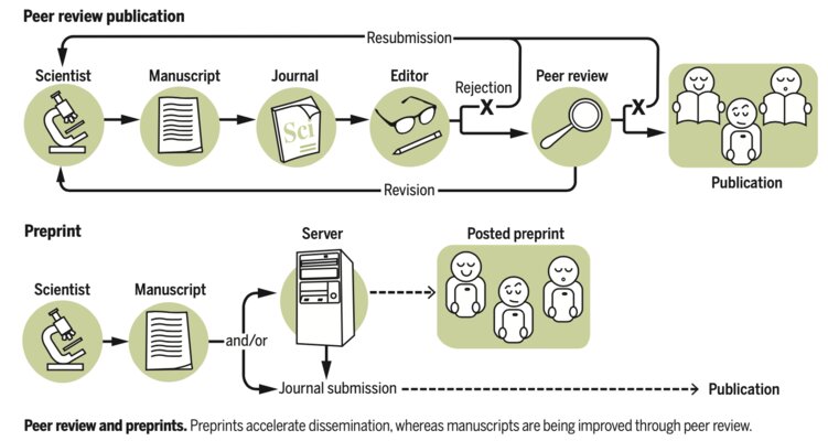 Key figure from Preprints for the life sciences