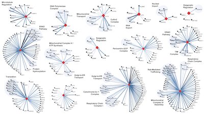 Key figure from A SARS-CoV-2-Human Protein-Protein Interaction Map Reveals Drug Targets and Potential Drug-Repurposing