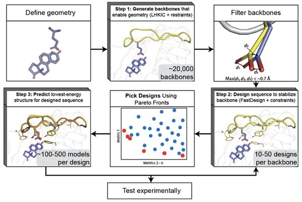 Key figure from Accurate positioning of functional residues with robotics-inspired computational protein design