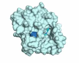Key figure from Iterative computational design and crystallographic screening identifies potent inhibitors targeting the Nsp3 Macrodomain of SARS-CoV-2