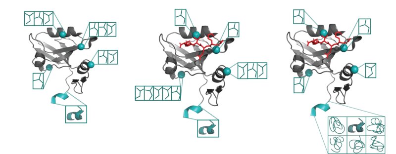 Key figure from Advances in uncovering the mechanisms of macromolecular conformational entropy