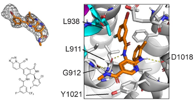Key figure from Discovery and clinical proof-of-concept of RLY-2608, a first-in-class mutant-selective allosteric PI3Ka inhibitor that decouples anti-tumor activity from hyperinsulinemia