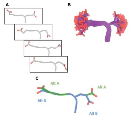 Key figure from Comprehensive Encoding of Conformational and Compositional Protein Structural Ensembles through mmCIF Data Structure
