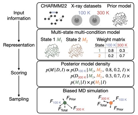Key figure from Bayesian multi-state multi-condition modeling of a protein structure based on X-ray crystallography data