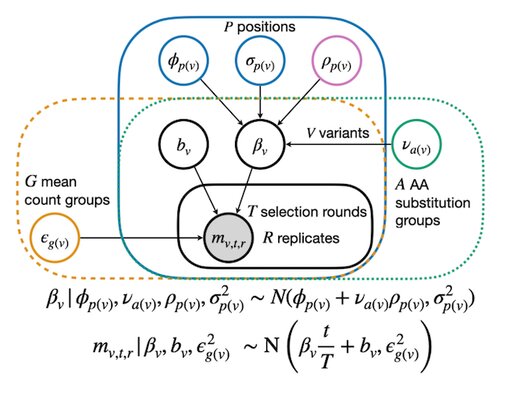 Key figure from Rosace-AA: Enhancing Interpretation of Deep Mutational Scanning Data with Amino Acid Substitution and Position-Specific Insights