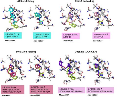 Key figure from Large-scale prospective evaluation of co-folding across hundreds of Mac1-ligand complexes and three virtual screens