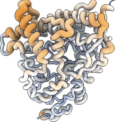 Key figure from Structural Plasticity and Ligand Promiscuity of CYP3A4 Revealed by Cryo-EM