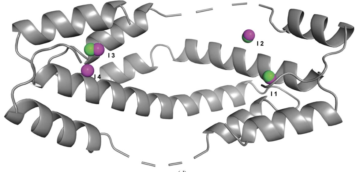 Figure from Identifying dynamic, partially occupied residues using anomalous scattering