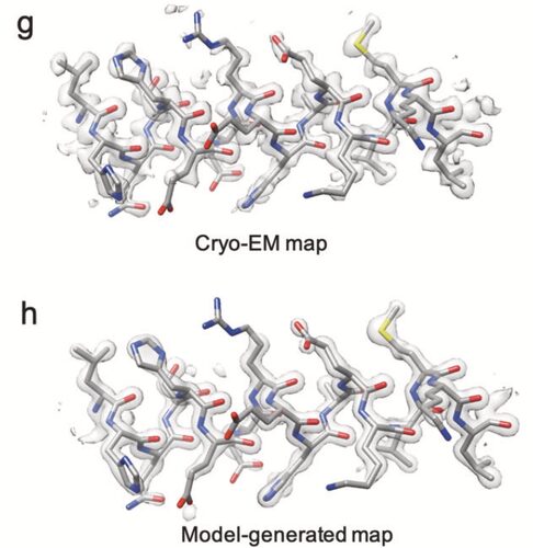 Figure from Resolving Individual-Atom of Protein Complex using Commonly Available 300-kV Cryo-electron Microscopes