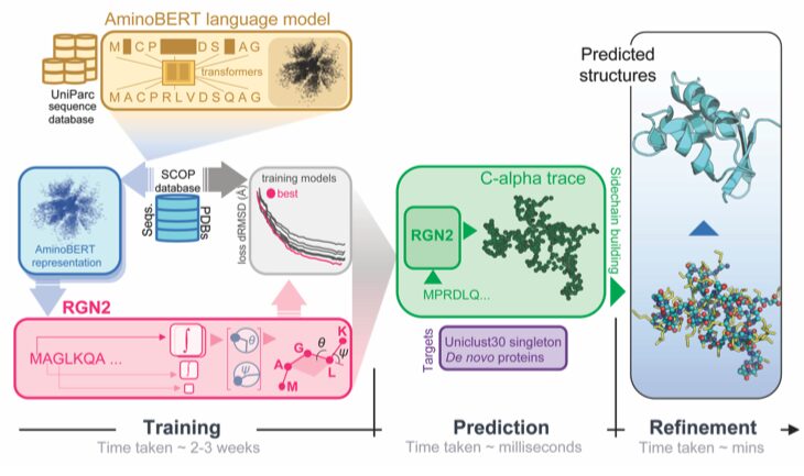Figure from Single-sequence protein structure prediction using language models from deep learning