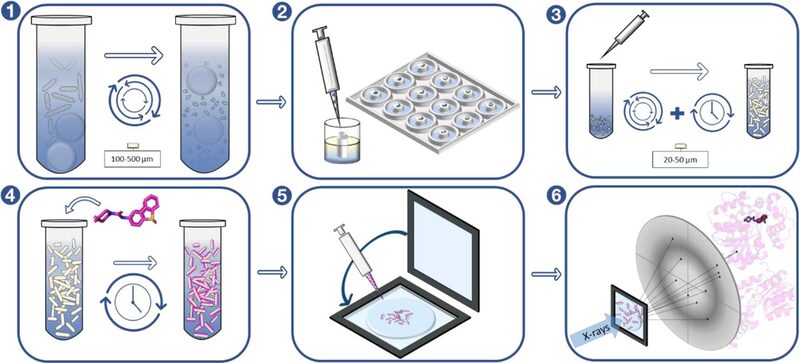 Figure from Exploring serial crystallography for drug discovery