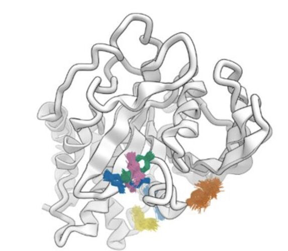 Figure from Discovery and validation of the binding poses of allosteric fragment hits to PTP1b: From molecular dynamics simulations to X-ray crystallography
