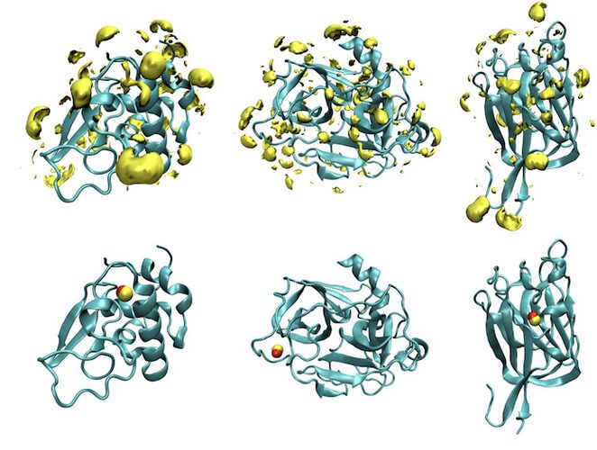 Figure from Prediction of Ca 2+ binding site in proteins with a fast and accurate method based on statistical mechanics and analysis of crystal structures