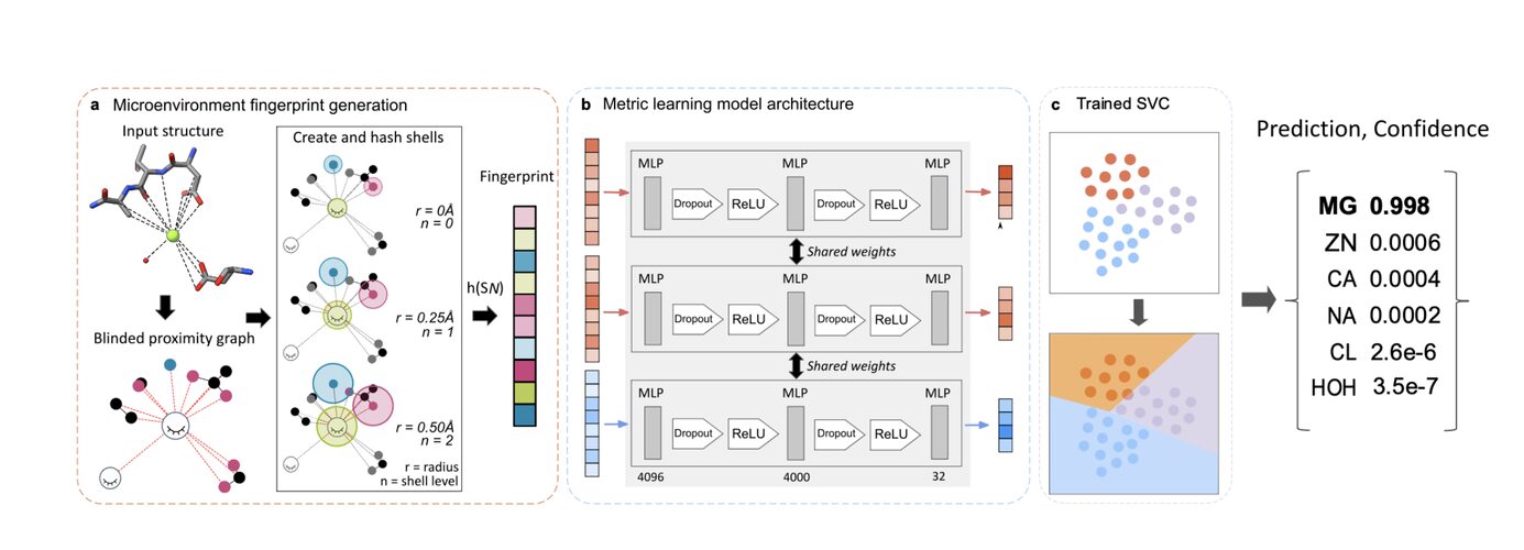 Figure from Metric Ion Classification (MIC): A deep learning tool for assigning ions and waters in cryo-EM and x-ray crystallography structures