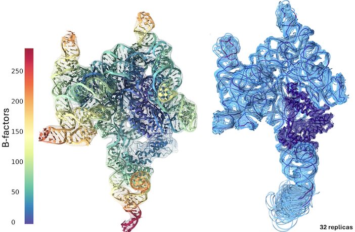 Figure from Ensemble Refinement of mismodeled cryo-EM RNA Structures Using All-Atom Simulations